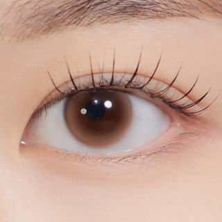 Dewy Kristin Basic (12.0mm) Monthly Brown