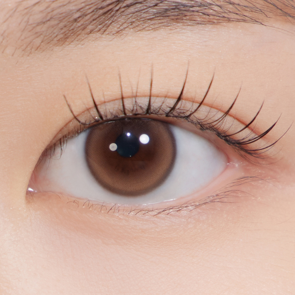 Dewy Kristin 1Day Brown