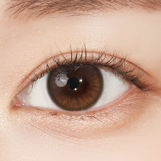 Shyring Monthly Brown