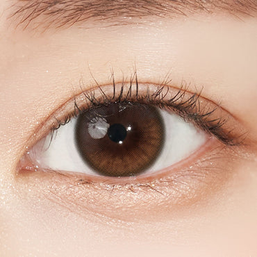 Shyring Monthly Brown