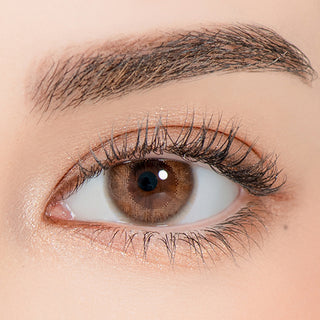 Celinay Monthly Brown