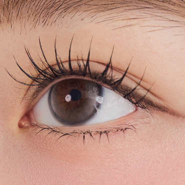 Abierto 1Day Dusky Gray