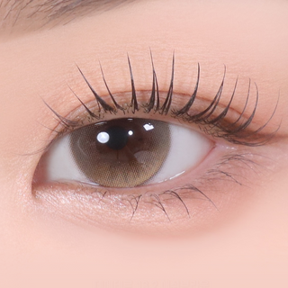 Demeter Ash Brown