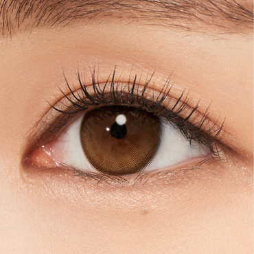 Secretive Kristin 1Day Creme Brown