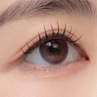 Fog Monthly Rosy Brown