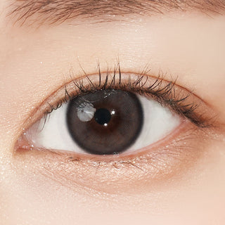 Sweet Circle 1Day Gray