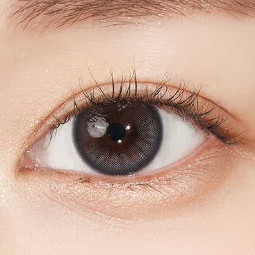 Shyring 1Day Gray