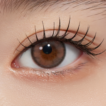 Susurro 1Day Fog Coral