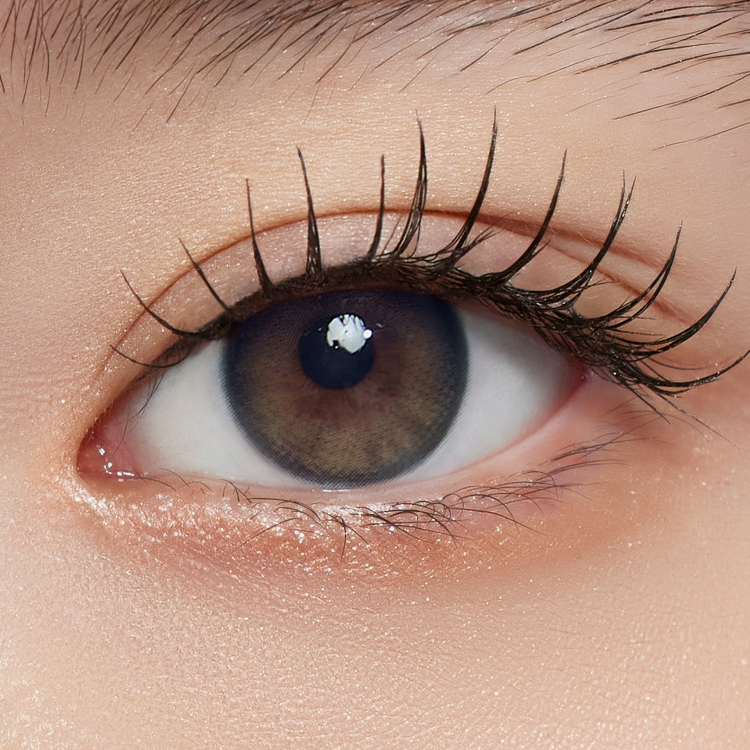 Lucir 1Day Noche Black – eotd JP