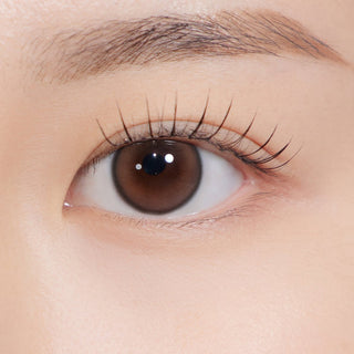 Cosmo Kristin 1Day Mini Brown - eotd