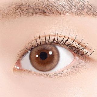 Cosmo Kristin Mini 1DAY Brown - eotd
