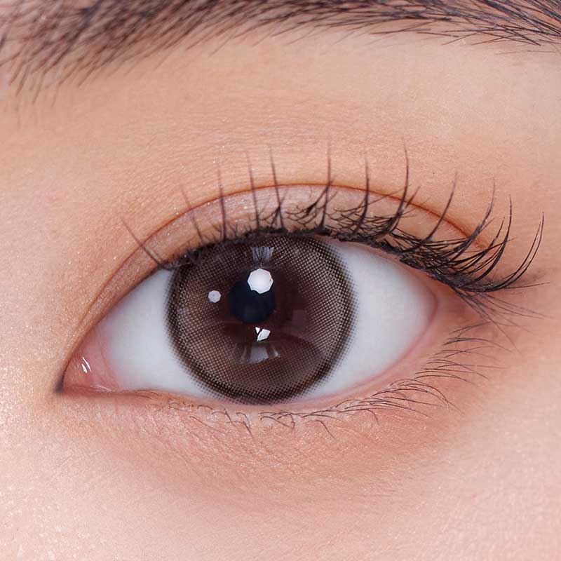 Demeter 13.5 Monthly Ash Choco