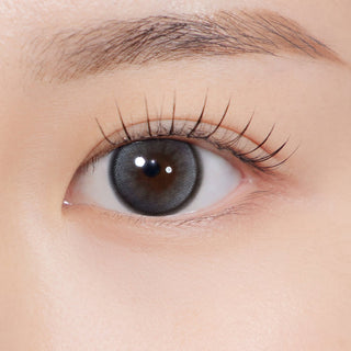 Dolly Kristin 1Day Mini Gray - eotd