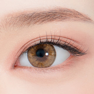 Iwwitch Up Monthly Brown