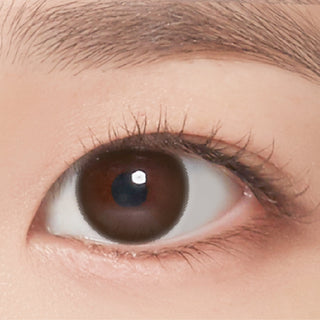 Neoism Coco Brown (50pc)