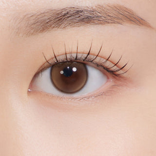 First Love Kristin 1Day Mini Brown - eotd