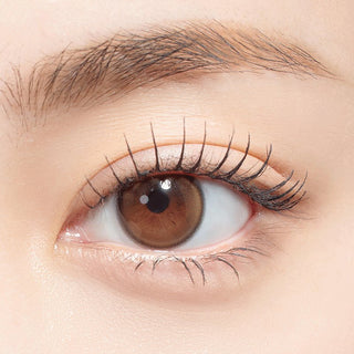 First Love Kristin Mini 1Day Brown - eotd