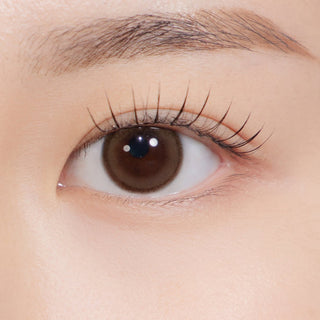 Glazed Kristin 1Day Mini Choco - eotd