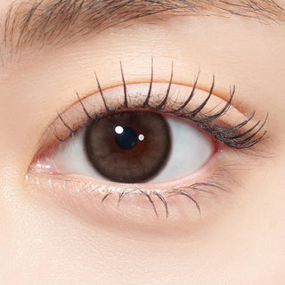 Big Lovel Ring Monthly Brown