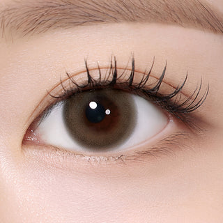 Rheia 1Day Easy Brown