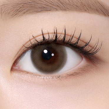 Rheia 1Day Easy Brown