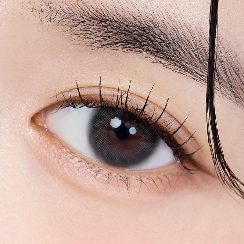 Keira 1Day Greta Black – eotd JP