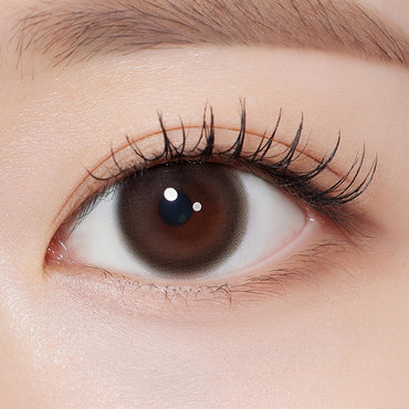 Rheia 1Day Mild Choco