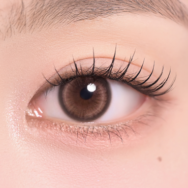 Lily Daze 1Day – eotd JP