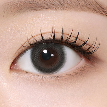 Rheia 1Day Charcoal Gray