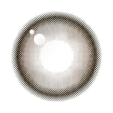 Demeter 13.0 1Day Brussel Choco