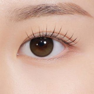 Secretive Kristin 1Day Mini Creme Brown - eotd