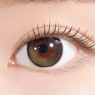 Secretive Kristin Plus Mini 1Day Olive - eotd