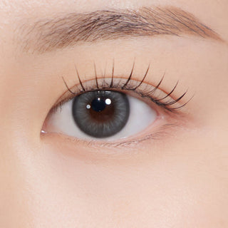 Shopaholic Kristin 1Day Mini Midnight Gray - eotd