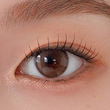 Sugar High Kristin 1day Ash Choco