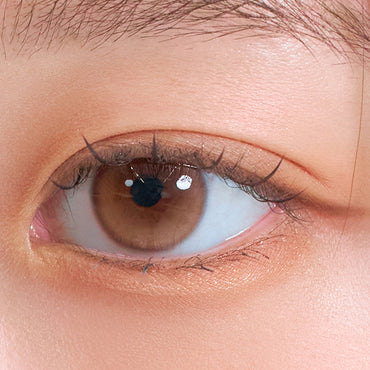 Dewy Kristin Basic Monthly Brown