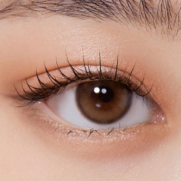 Purity shine 1DAY Hazel Brown