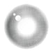 Moon Gray