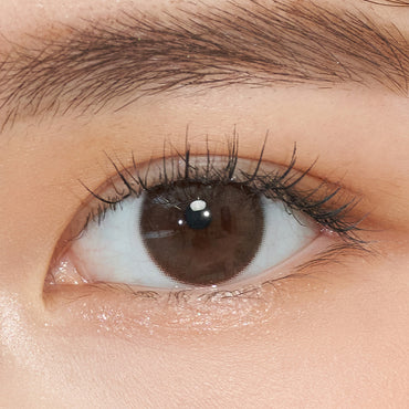 See Through Kristin Plus 1Day Choco