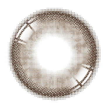 New See Through Kristin 1Day Choco