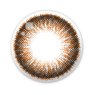 Rich Ann Jenny Brown(6p)