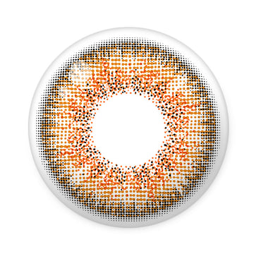 Rich Ann Shine Brown(6p)