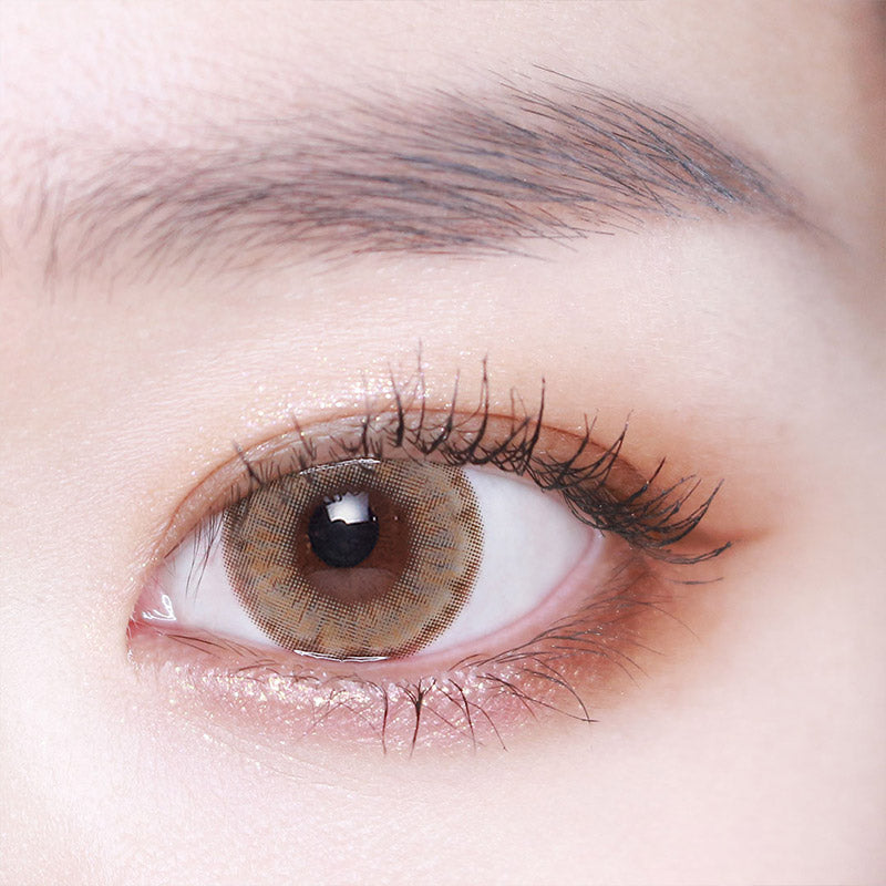 Wonder Eye 1Day Brown