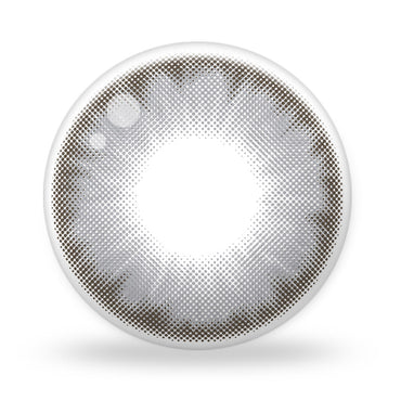 Wonder Eye 1Day Gray