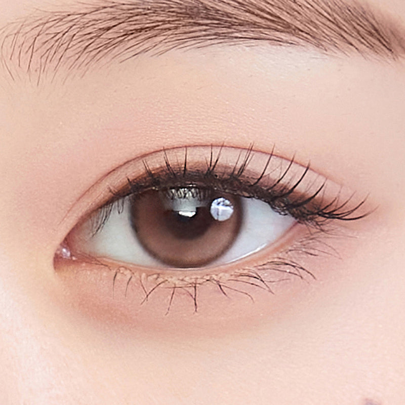 Dewy Kristin 1Day Brown