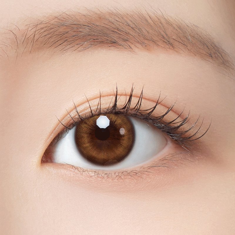 Bittersweet Kristin 1Day Hazel Brown - eotd