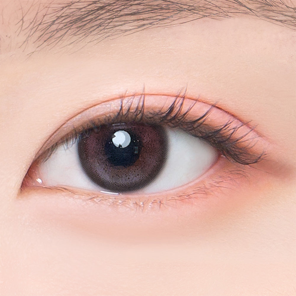 Jinju Shell Burgundy