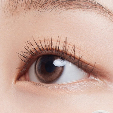 Forever Young Kristin 1Day Wannabe Brown - eotd