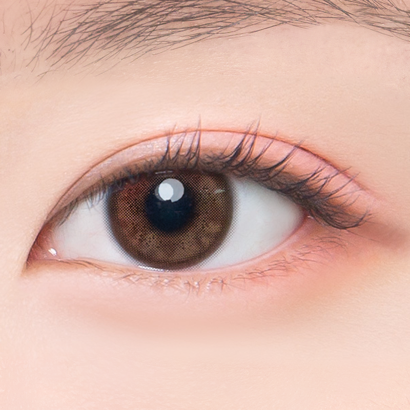 Jinju Shell Brown