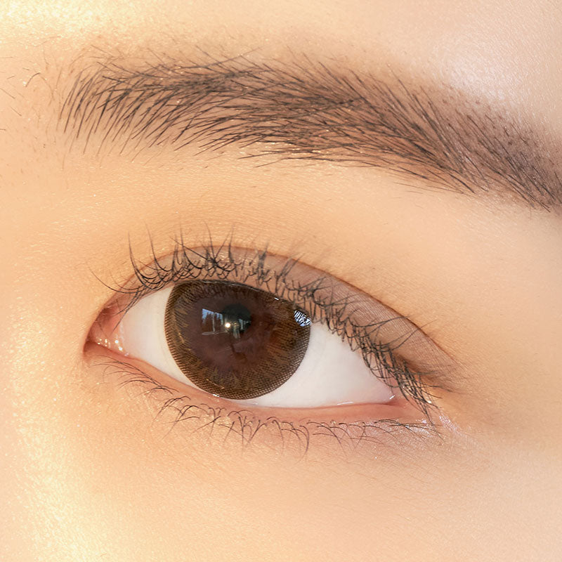IrIs LatIn